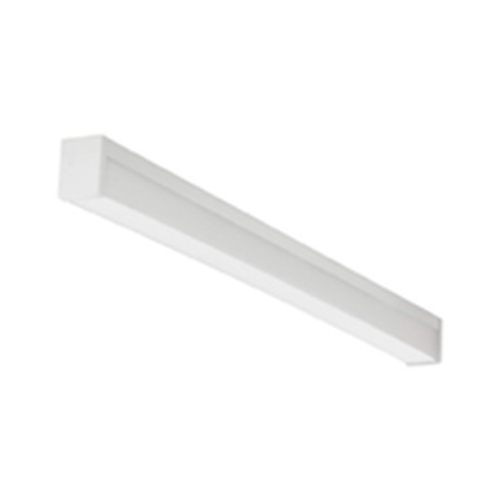 fluorescent-FLS2-T8